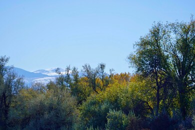 549 Swan Drift, Sheridan, WY 82801 - photo 6