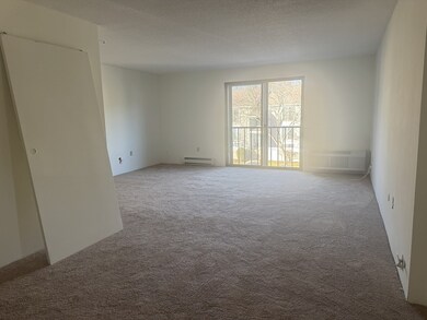 4 Village Rock Ln unit 9, Natick, MA 01760 - photo 2