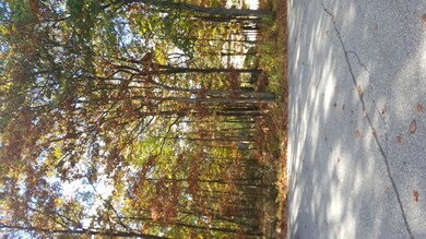 62 Saunders Ct, Cresco, PA 18326 - photo 2