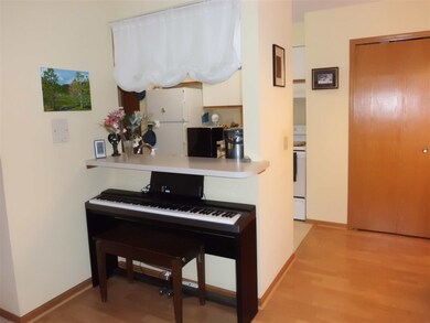 901 Park St unit 102, Oregon, WI 53575 - photo 7