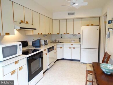 138 Montrose Ave unit 34, Bryn Mawr, PA 19010 - photo 6