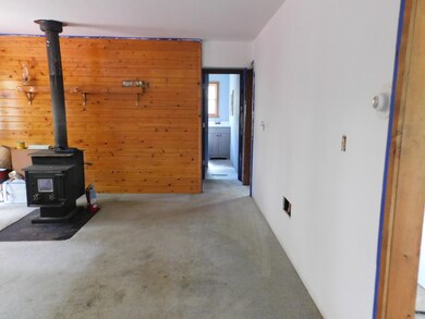 1250 W Woodland Park Dr, Bitely, MI 49309 - photo 5