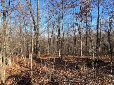 0 Lots 15 & 16 Nidd Ln unit 1262577, Bella Vista, AR 72714 - photo 6