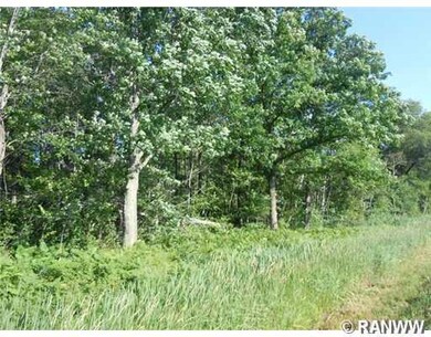 0 Hwy 35 unit 863383, Webster, WI 54893 - photo 2