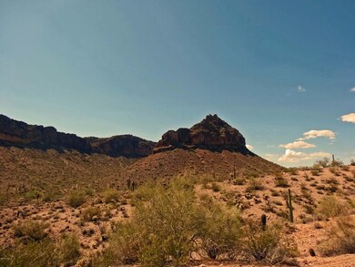 Backs to 10,200 Acre San Tan Park!