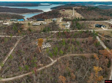 010-01899-000 Hornpipe Ave, Briarcliff, AR 72653 - photo 4