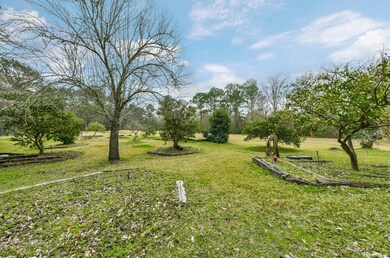 To the right side of the golf lane, this producing citrus orchard offers a myriad of fresh and juicy fruits that include a variety of choices for the picking!  Hydration for the trees is provided by on-site well water.