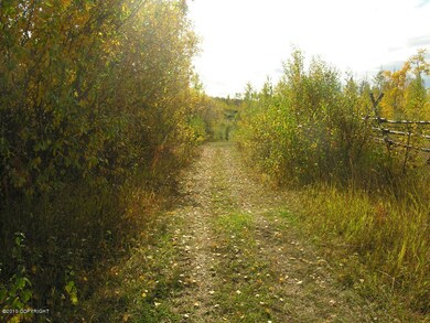 11448 W Tofson Ave, Wasilla, AK 99654 - photo 6