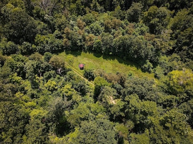 TBD Long Run Rd, Belington, WV 26591 - photo 5