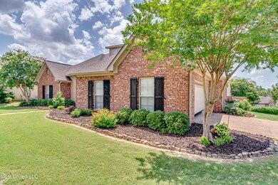 718 tortois Ridge-6