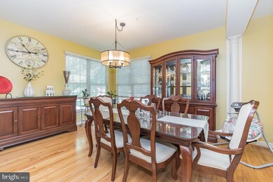 19946 Cedarbluff Dr, Germantown, MD 20876 - photo 7