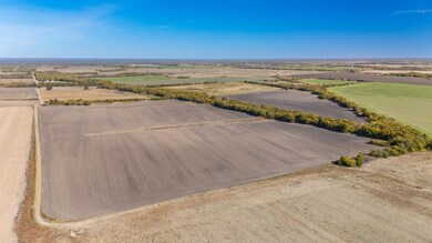 000 Cr 3140, Cooper, TX 75469 - photo 7