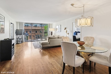 Astor Terrace unit 6B, Chicago, IL 60610 - photo 5