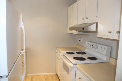 1609 1/2 Driscoll St, Houston, TX 77019 - photo 5