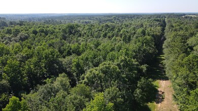 DJI_0425