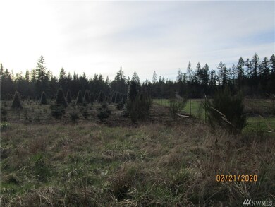 0 115th Ave SE, Littlerock, WA 98556 - photo 5