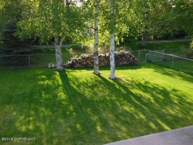02_back_yard1