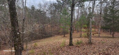 65c0c38c-d9db-48a7-a56c-f53a8c0d149e