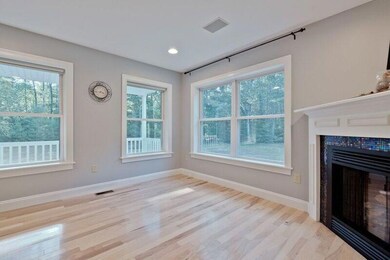 Living room with views of the woods