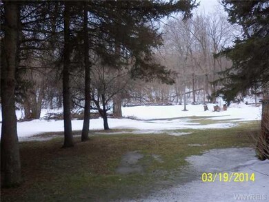 Yard/Garden