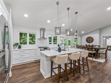 Quartz counter top island with double sinks