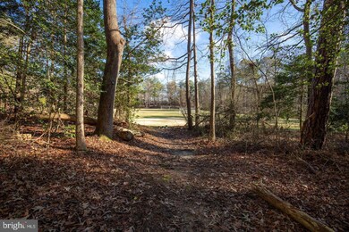 23300 White Elm Ct, California, MD 20619 - photo 2