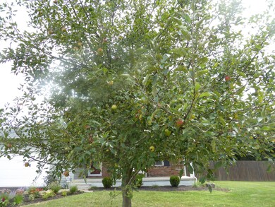 Front tree