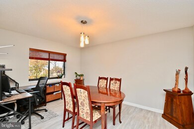 5901 Mount Eagle Dr unit 706, Alexandria, VA 22303 - photo 4