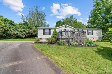 31 Frank Lawson Ln, Leicester, NC 28748 - photo 3