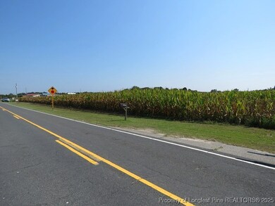 TBD Alamac Rd, Lumberton, NC 28358 - photo 7