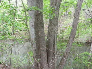 00 Lewis Rd, Dunn, NC 27597 - photo 5