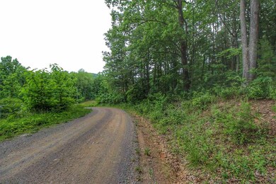 1 Cross Mountain Rd, 3, Marksville, VA 22835 - photo 6