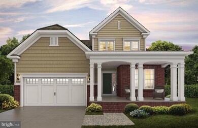 703 Butterfly Weed Dr, Germantown, MD 20876 - photo 4