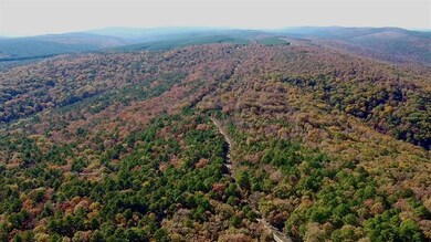 Bird's eye view of mountains
