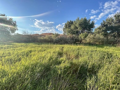 TBD Cr 119, Florence, CO 81226 - photo 2