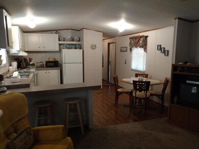 Looking into Kitchen