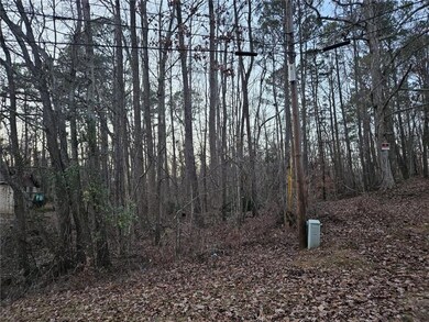 View of local wilderness