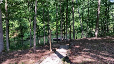 817 Freedom Dr, Martin, GA 30557 - photo 4