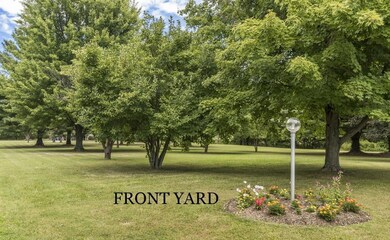 Front Yard View