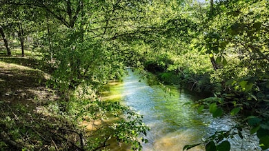 390 Sunny Brook Rd, Blue Ridge, GA 30513 - photo 6