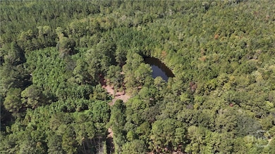 0 Stillwell Clyo Rd unit SA340237, Springfield, GA 31329 - photo 2