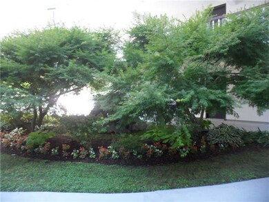 Yard/Garden.