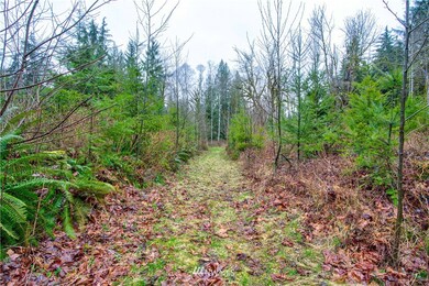 unlisted-address, Arlington, WA 98223 - photo 6