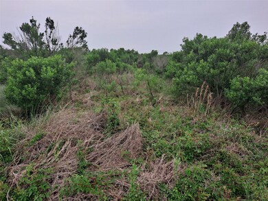 0 County Road 299 Heron unit 67049076, Sargent, TX 77414 - photo 3