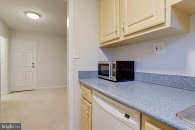 206 N Trenton St unit 2062, Arlington, VA 22203 - photo 6
