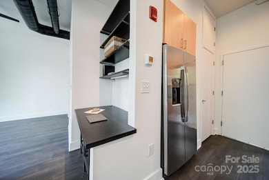 514 W 10th St unit 304, Charlotte, NC 28202 - photo 7