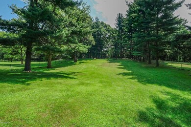 Summer Pic of Back Yard