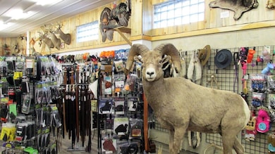 102 E Bridge Ave, Saratoga, WY 82331 - photo 5