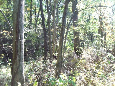 16403 County Road 1525 E, Princeton, IL 61356 - photo 4