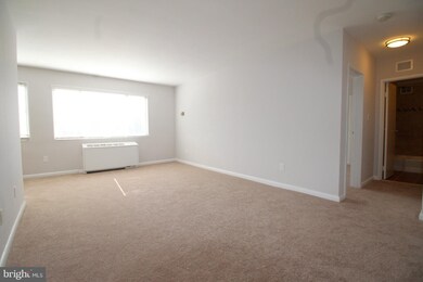 3601 5th St S unit 501, Arlington, VA 22204 - photo 5